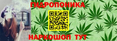 прущие крисы Будённовск